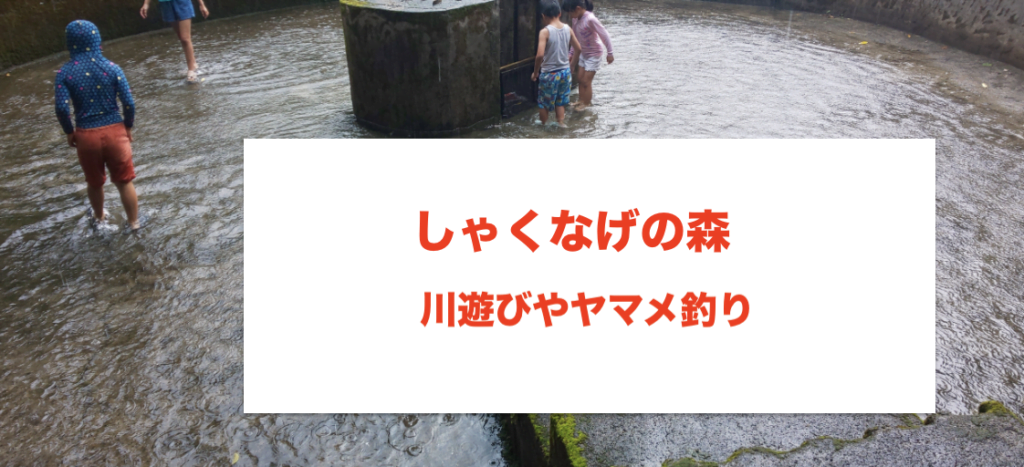 しゃくなげの森のヤマメ釣りやコロナ支援に関する参考画像