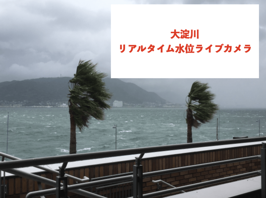 大淀川のリアルタイム水位ライブカメラに関する参考画像