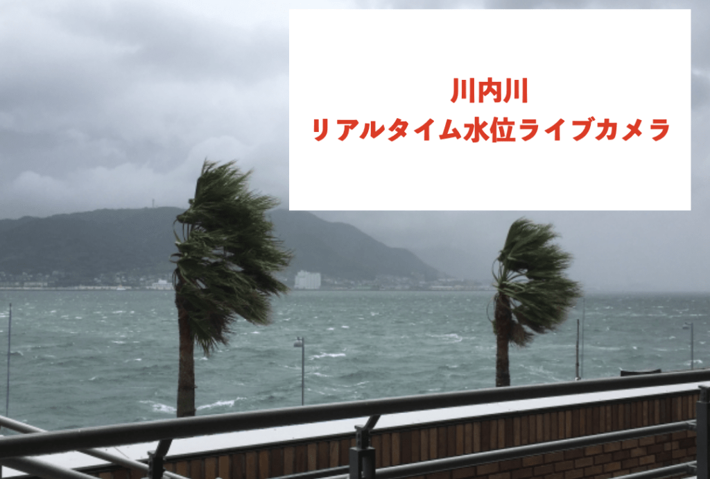 川内川のリアルタイム水位ライブカメラに関する参考画像