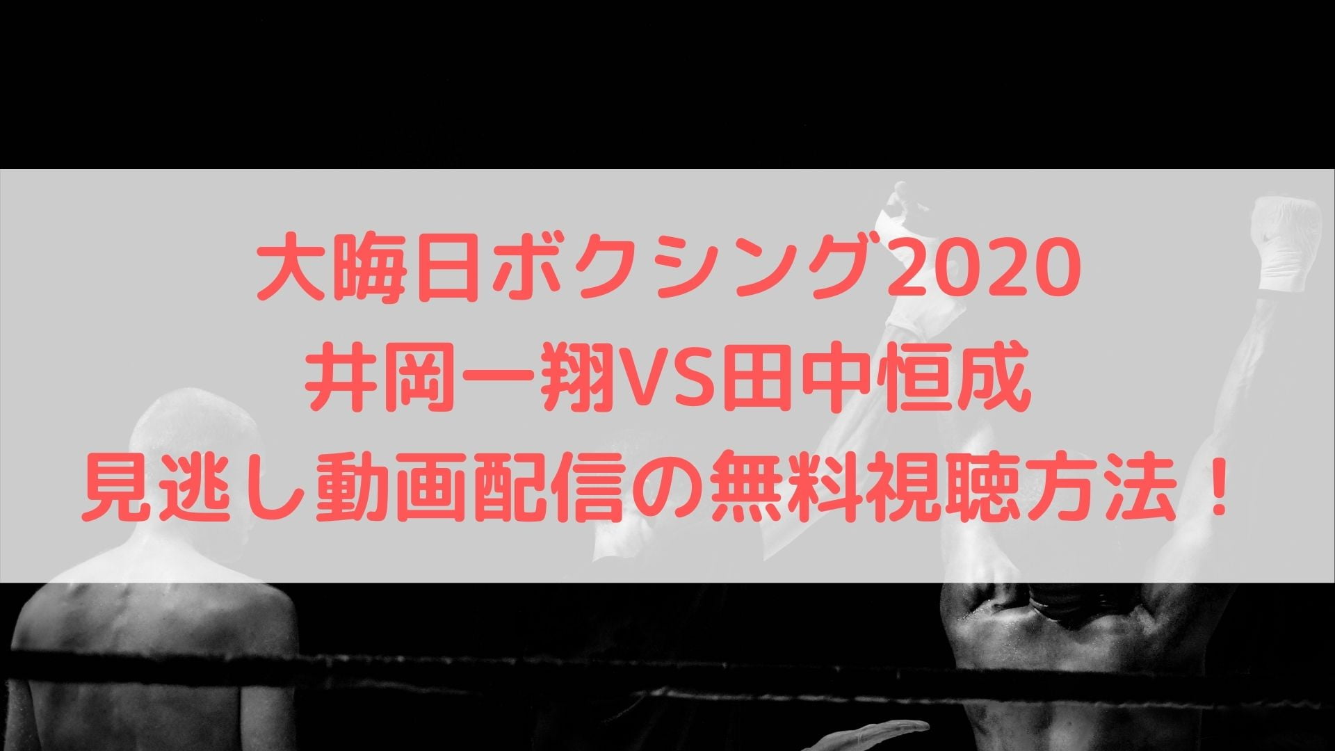 大晦日ボクシング井岡一翔vs田中恒成見逃し動画配信の無料視聴方法 スマホでの見方も ハヤ リノ