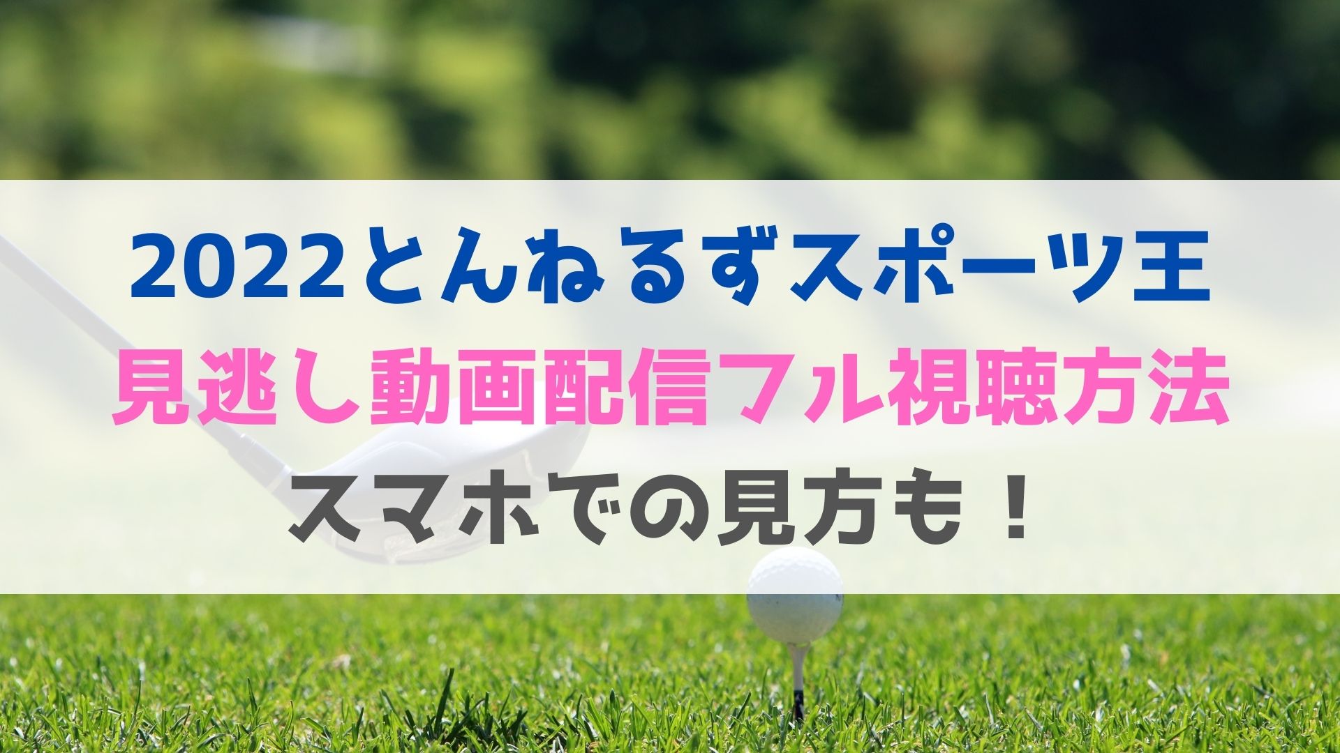 22とんねるずスポーツ王の見逃し動画配信フル視聴方法はある スマホでの見方も ハヤ リノ