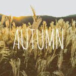 イエベ秋は最悪の肌タイプ？似合う色やコーディネートを徹底解説