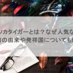 オニツカタイガーとは?なぜ人気なの?名前の由来や発祥国についても解説