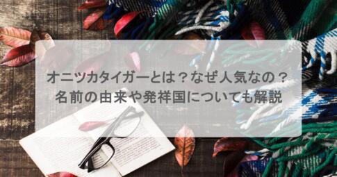 オニツカタイガーとは?なぜ人気なの?名前の由来や発祥国についても解説