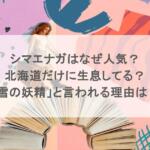 シマエナガはなぜ人気？北海道だけに生息してる？「雪の妖精」と言われる理由は？